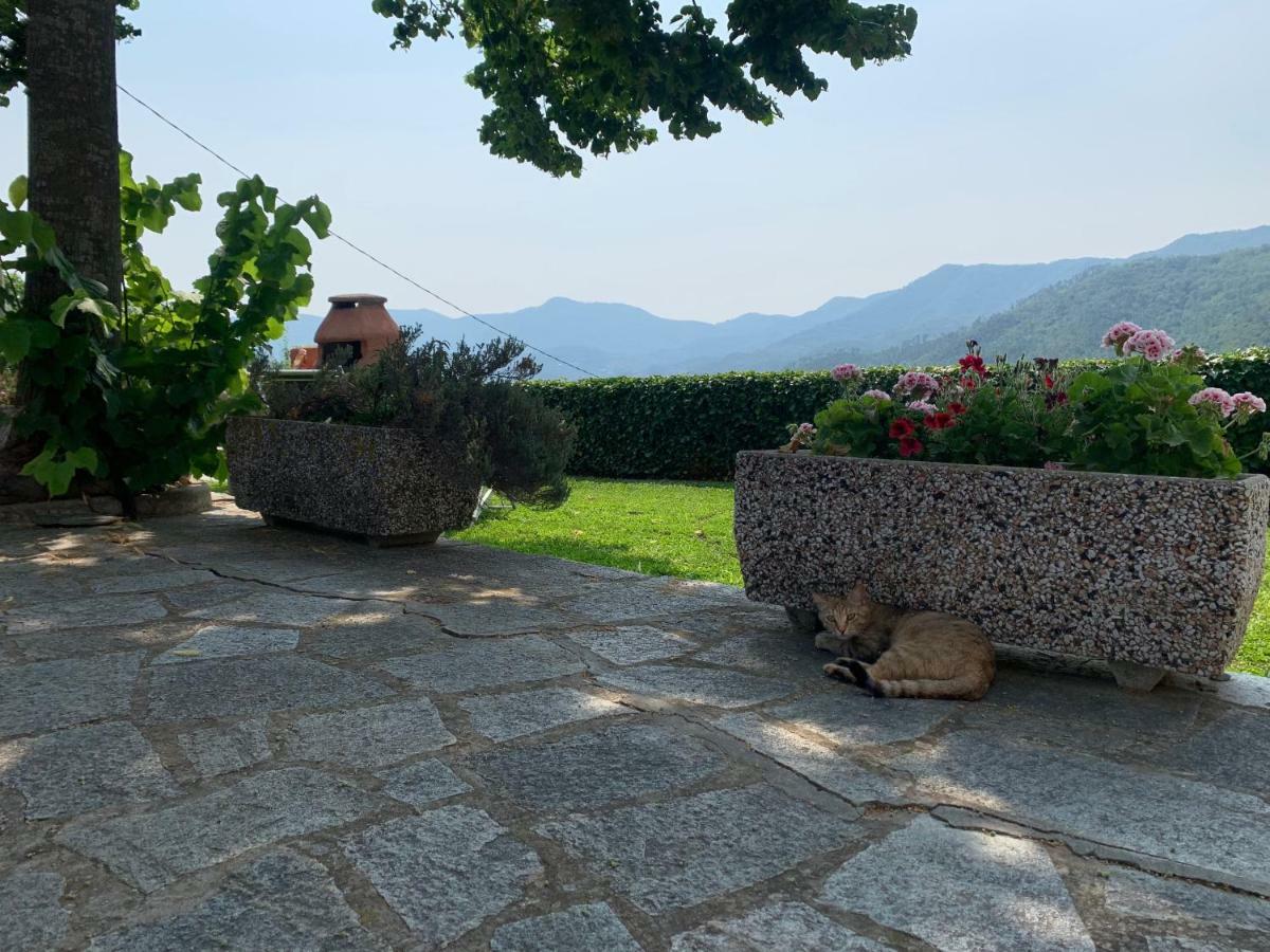 Agriturismo Gli Ulivi Garlenda Exterior photo
